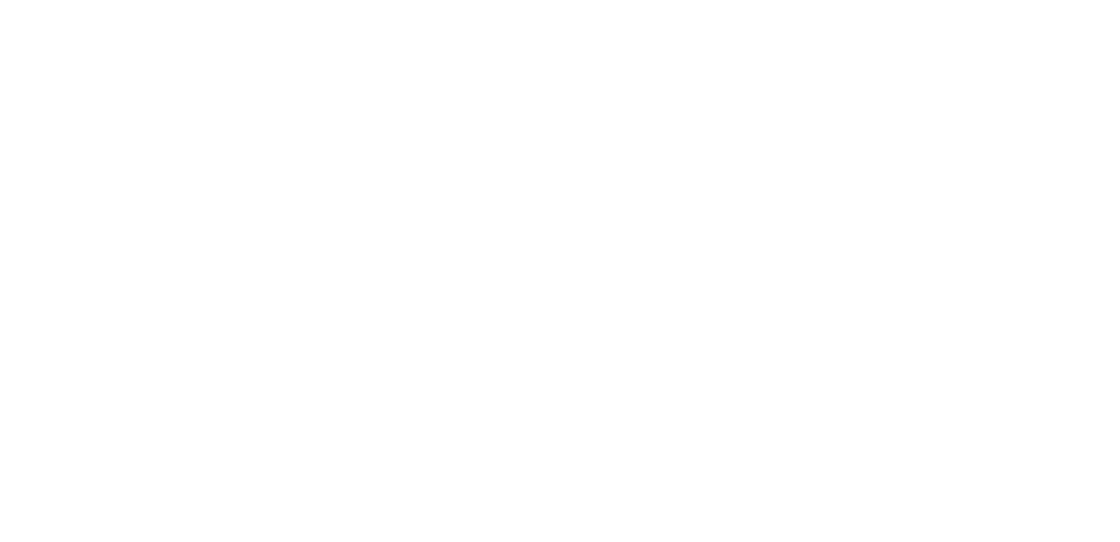 NAYKILLA LOGO WHITE